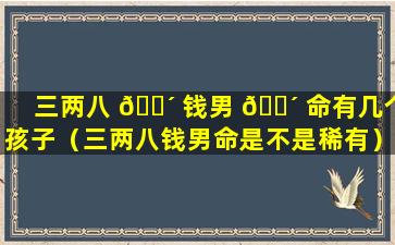 三两八 🐴 钱男 🐴 命有几个孩子（三两八钱男命是不是稀有）